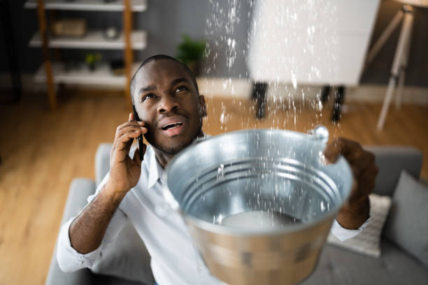 Best Water damage cleanup near me  in Pearl City, HI