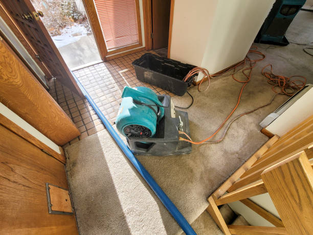 Best Flooded house restoration  in Pearl City, HI