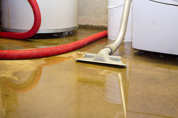 Best Residential water damage restoration  in Pearl City, HI