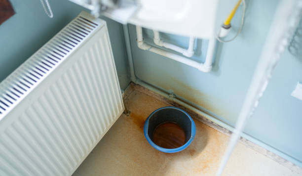Trusted HI Water damage restoration Experts