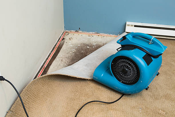 Best Water damage restoration near me  in Pearl City, HI